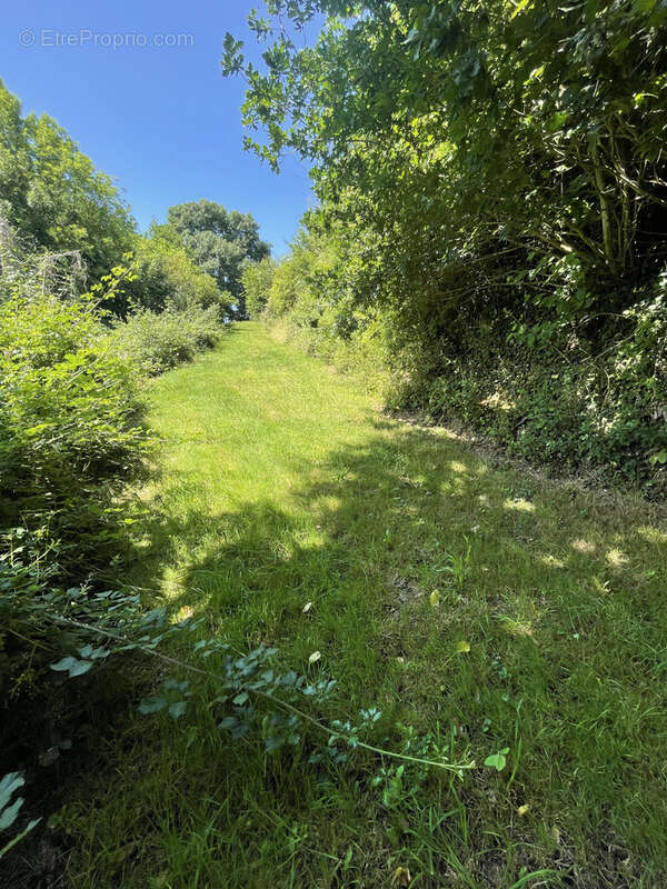 Terrain à VAILLY-SUR-SAULDRE