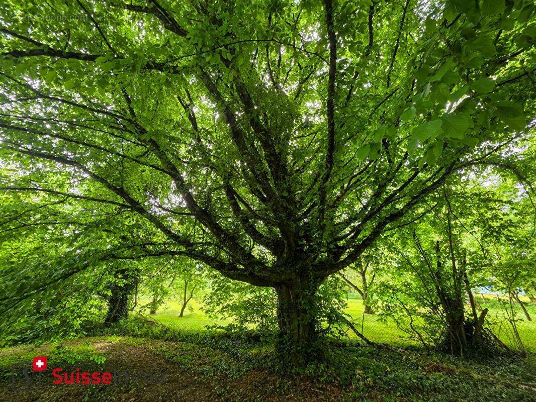 Maison à SENARGENT-MIGNAFANS