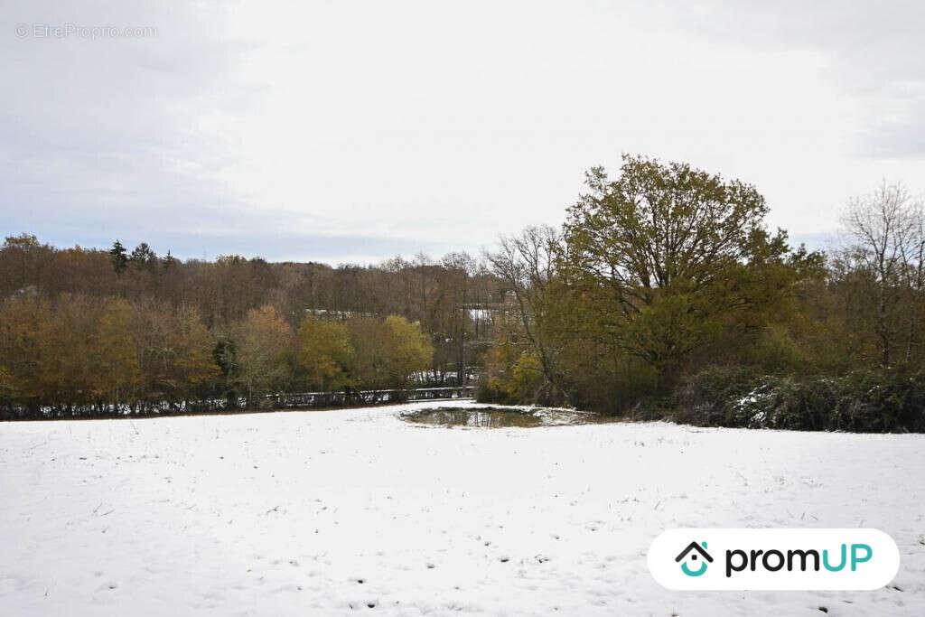Terrain à MOUTIERS-EN-PUISAYE