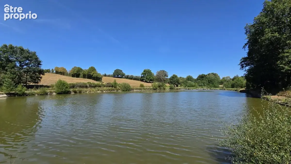 Etang de 9000 m² situé en pleine nature à Anor - photo 7