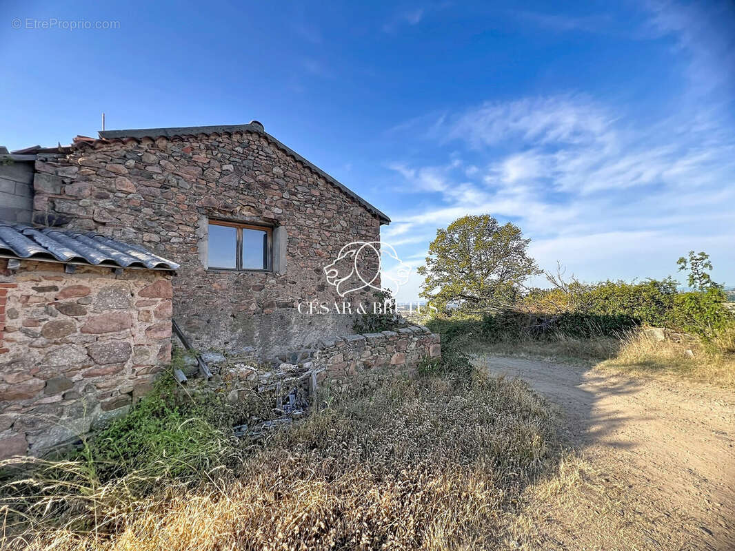 Maison 750 m² à Saint-Jean-Saint-Maurice-Sur-Loire  - photo 4