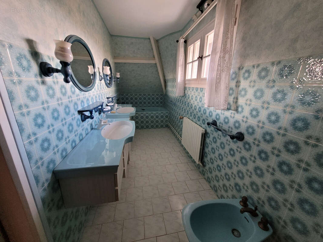 Maison à BAILLEAU-LE-PIN