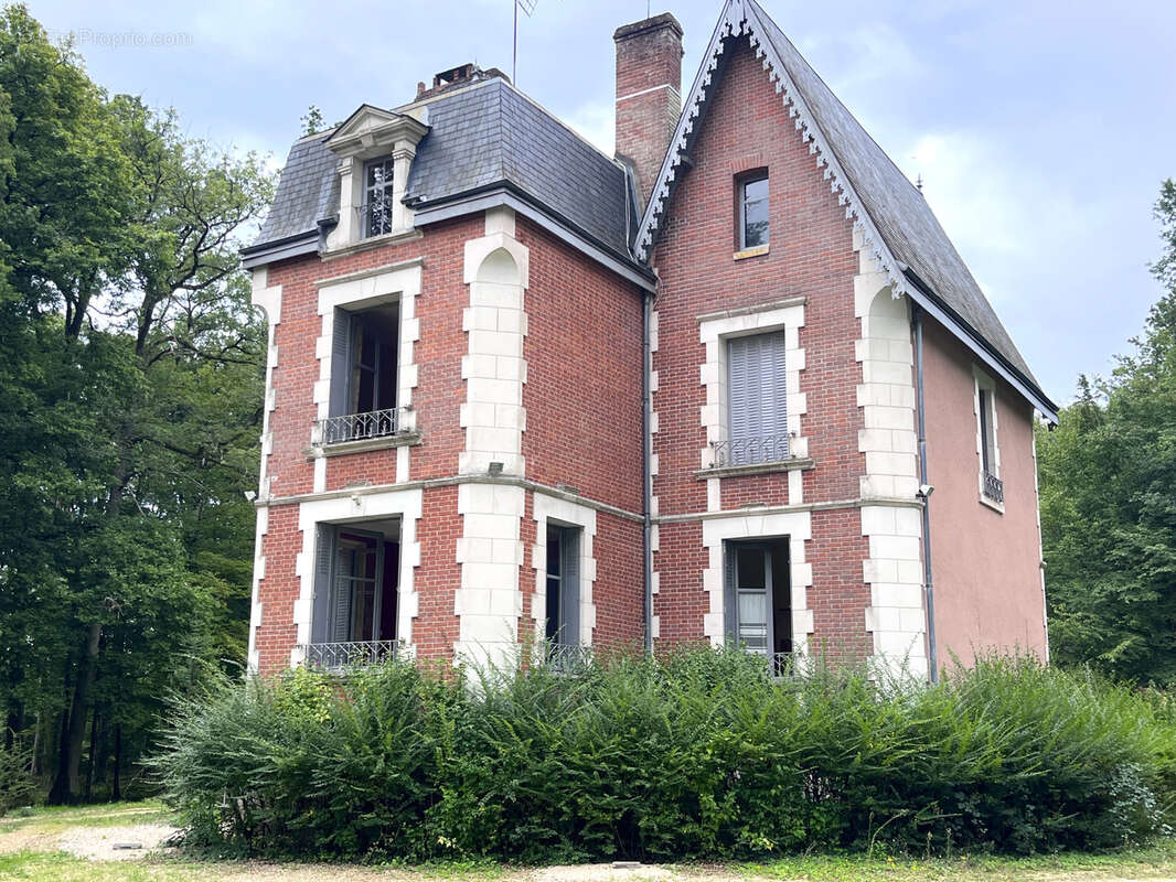 Maison à OUZOUER-SUR-TREZEE