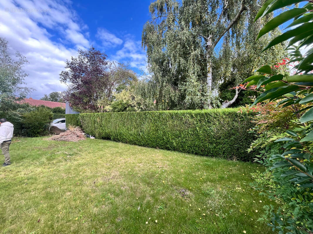 Terrain à CAMPHIN-EN-PEVELE