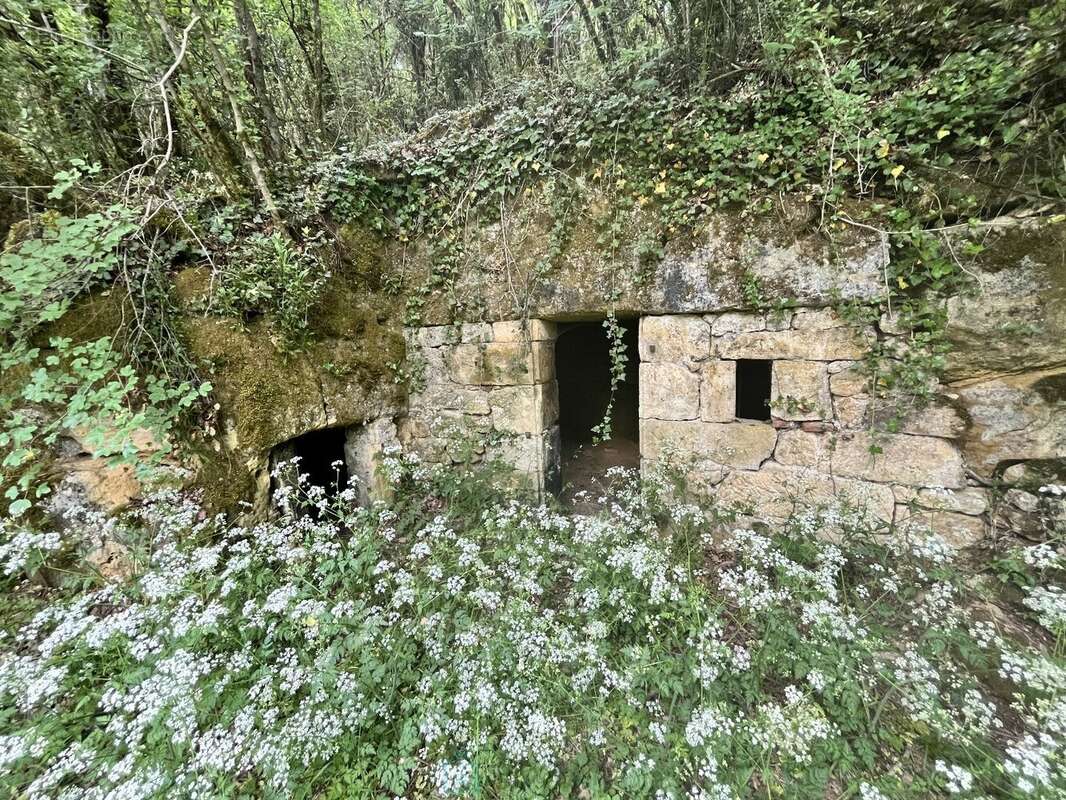 Maison à SAINT-LEON-SUR-VEZERE