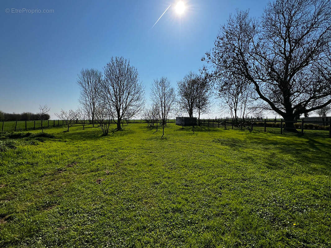 Maison à MEZIDON-CANON