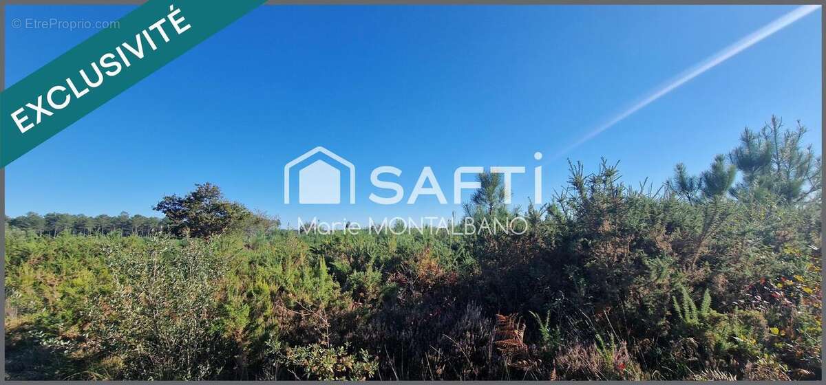 Photo 3 - Terrain à BIGANOS