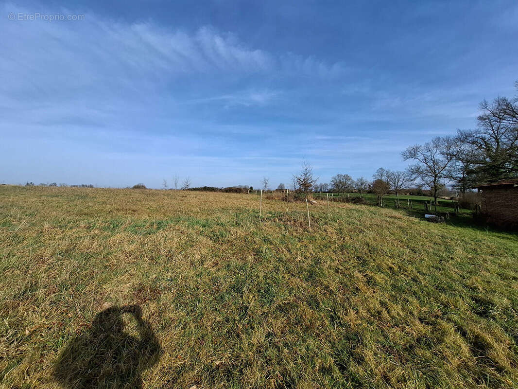 Maison à SAINT-TRIVIER-DE-COURTES
