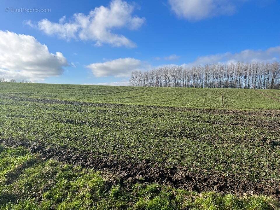 Terrain à DIVION