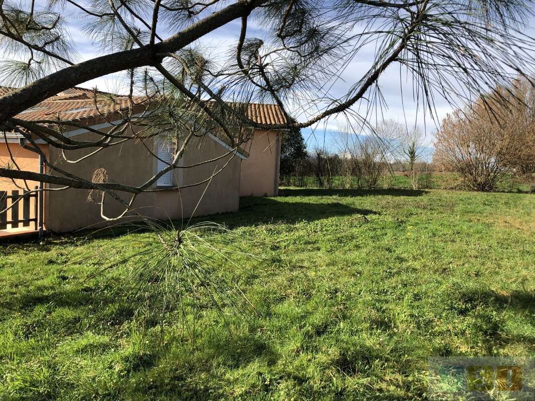 Maison à MONTREJEAU