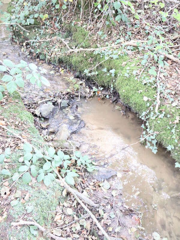 Maison à SAINT-BARTHELEMY