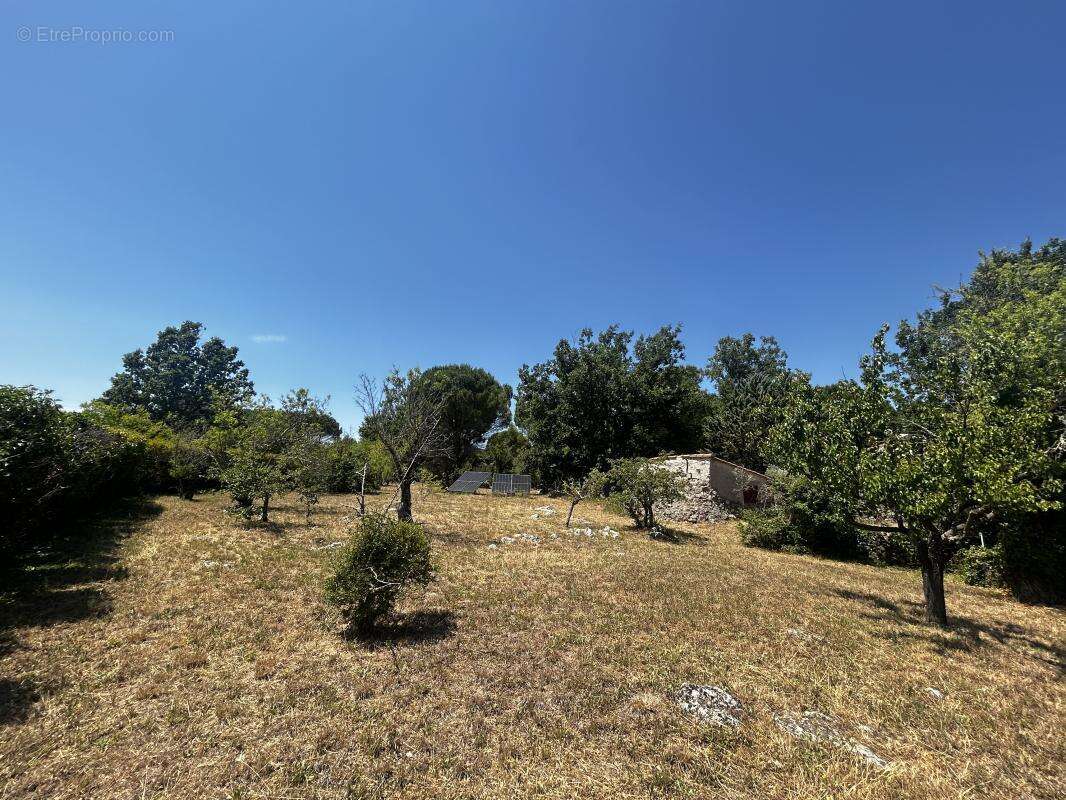 Secteur privilégié, vente villa sur 6123 m² de terrain - photo 19