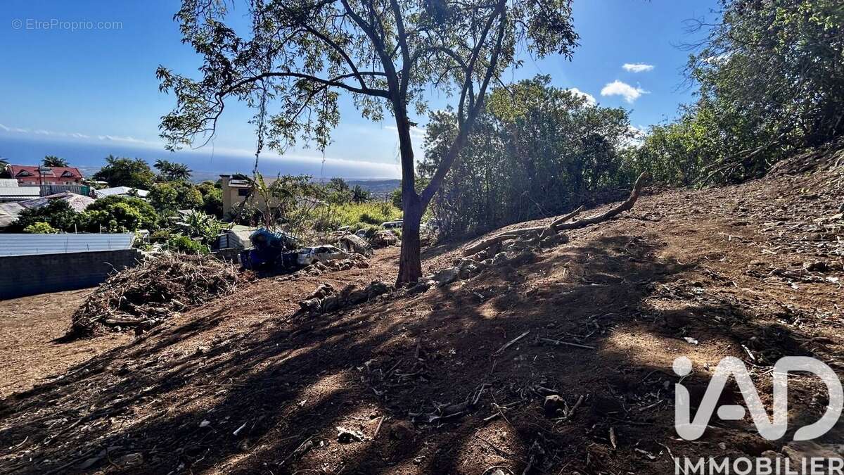 Photo 8 - Terrain à LE TAMPON