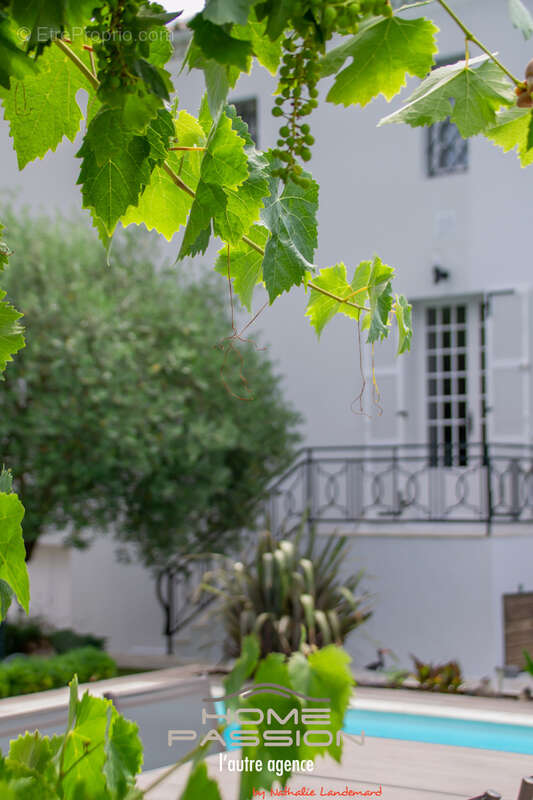 Maison à MEDIS