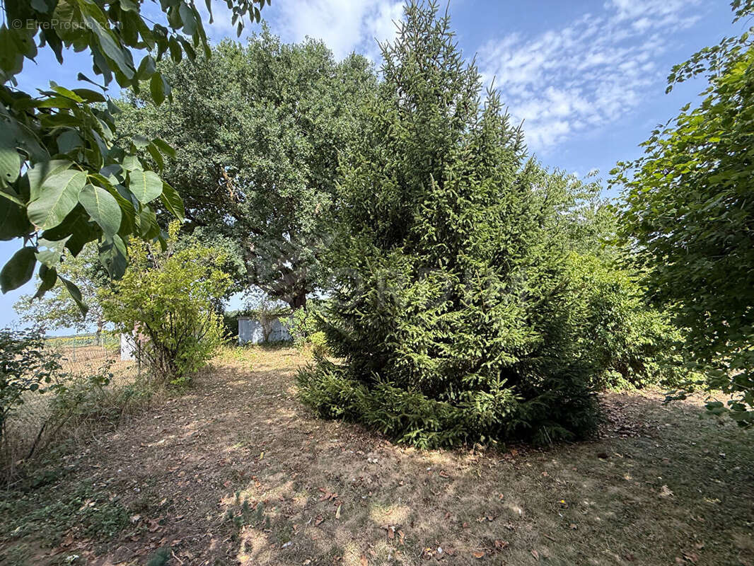 Maison à POUILLY-SUR-LOIRE