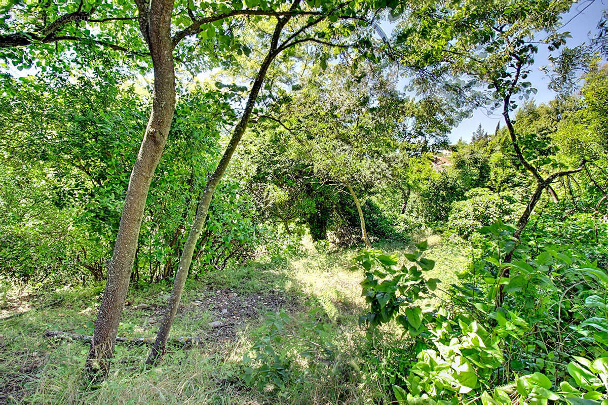 Terrain à DRAGUIGNAN