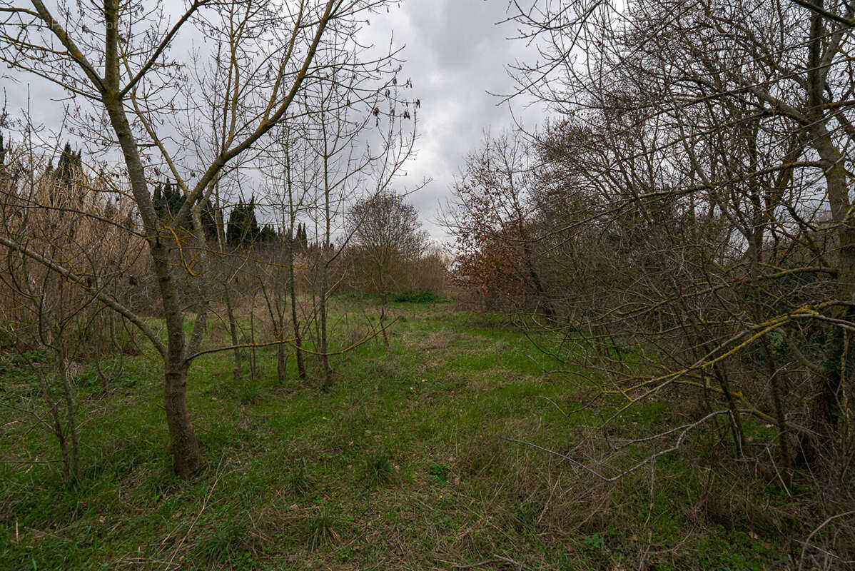 Terrain à CARCASSONNE