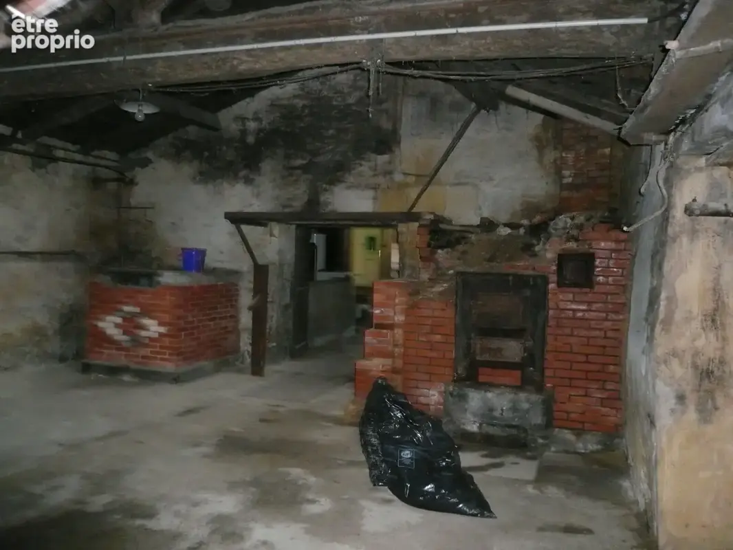  BURIE (17) A Vendre CORPS de FERME et Ses Nombreuses Dépendances  - photo 52