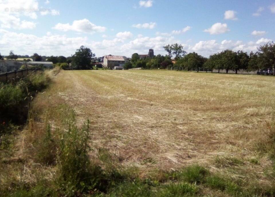 Terrain à BOUGNEAU
