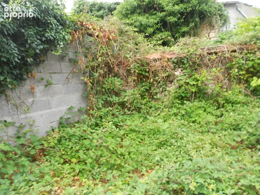 Maison sur 2 niveaux, d'environ 80 m2 habitables, Le Mayet de Montagne, à rénover - photo 10
