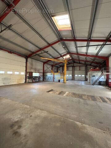 Commerce 363 m² à Moncoutant  - photo 6