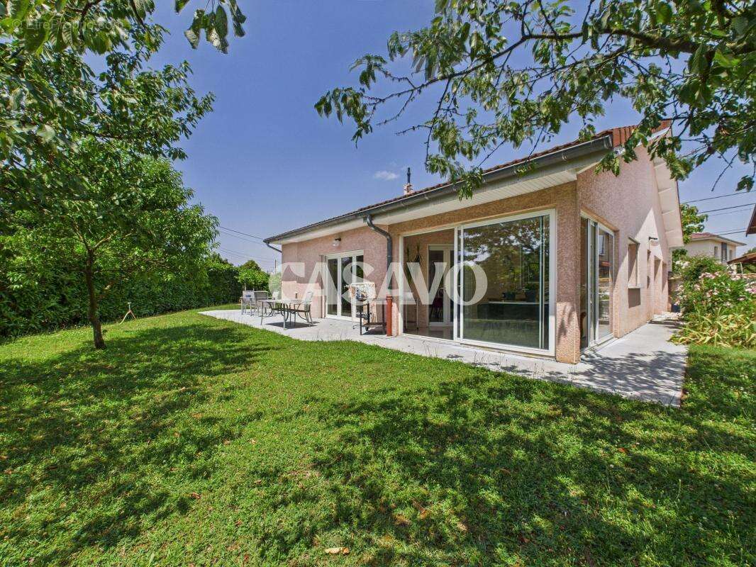 Maison à TIGNIEU-JAMEYZIEU