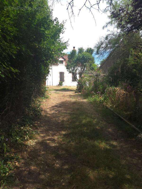 Maison À Vendre - photo 12