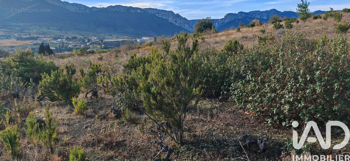 Photo 1 - Terrain à SAINT-PAUL-DE-FENOUILLET