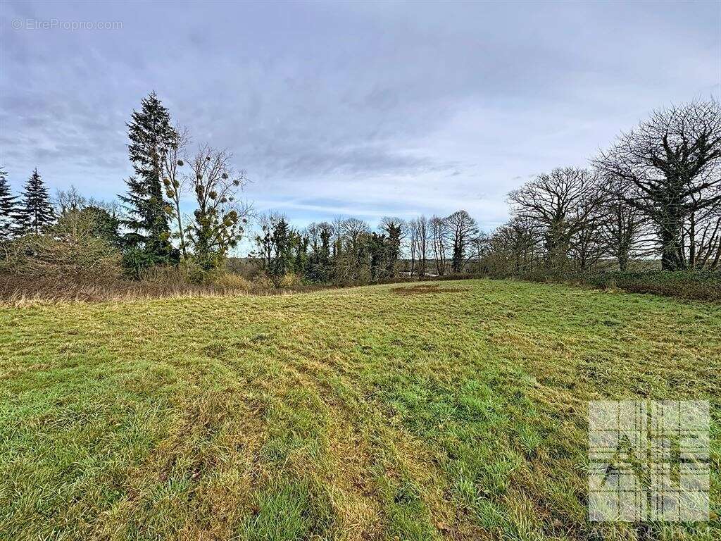 Longère en pierres à rénover - 1,43ha - idéal chevaux - photo 2