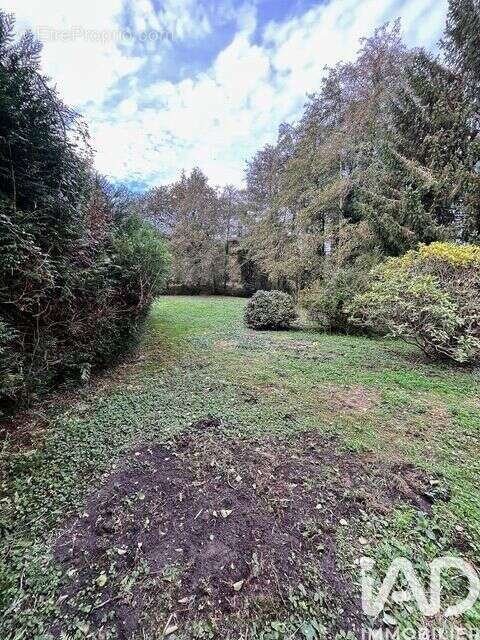 Photo 6 - Maison à BENESSE-MAREMNE