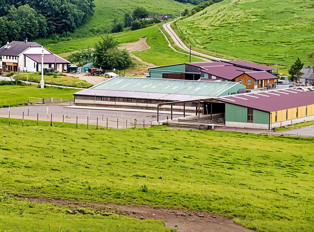 Maison à SAINT-DIE-DES-VOSGES