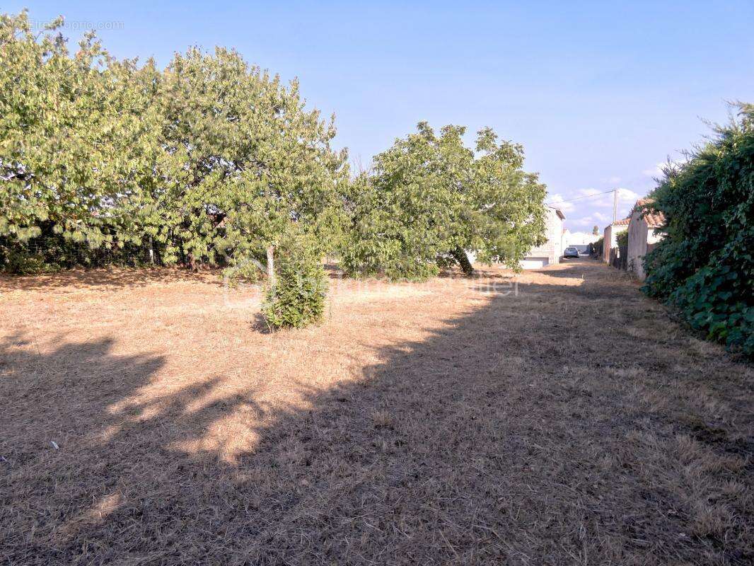 Maison à SAINT-JUST-LUZAC