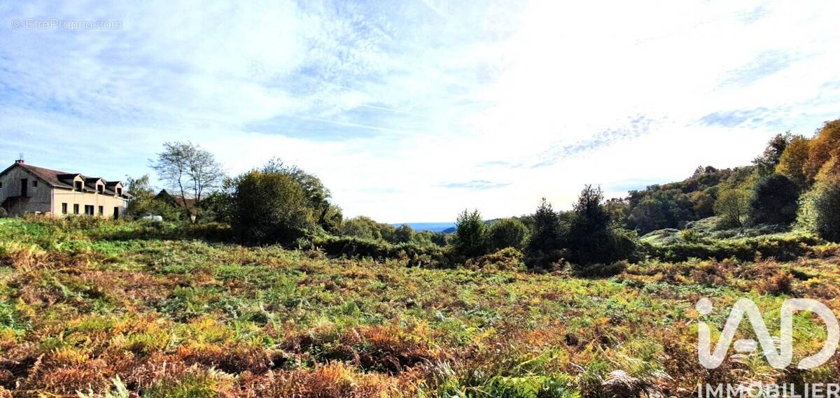 Photo 1 - Maison à JUILLAC