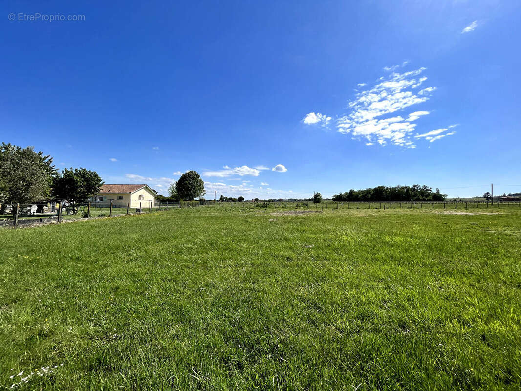 A vendre terrain libre de constructeur de 1 215 m2 priche blaye - photo 2