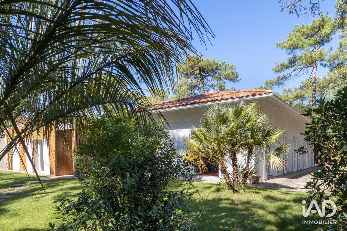 Photo 1 - Maison à SEIGNOSSE