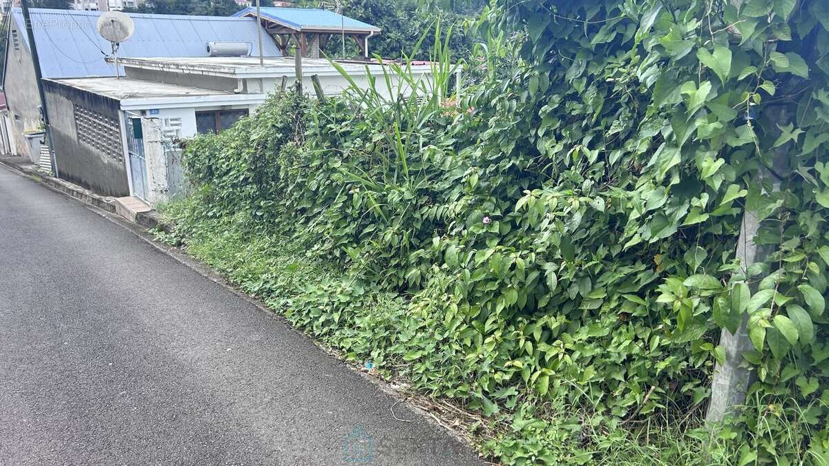 Terrain à FORT-DE-FRANCE