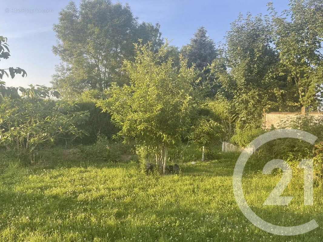 Maison 146 m² à Peronne  - photo 16