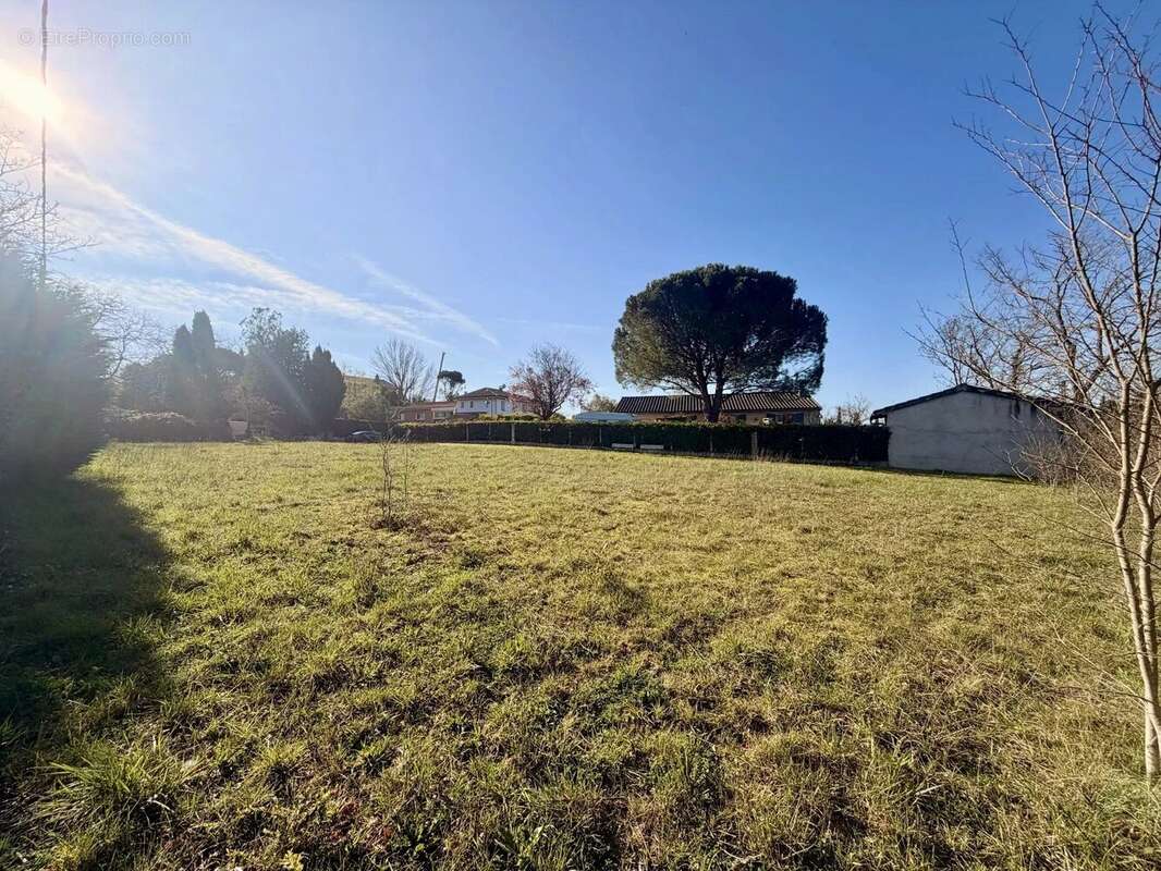 Terrain à VILLEFRANCHE-DE-LAURAGAIS