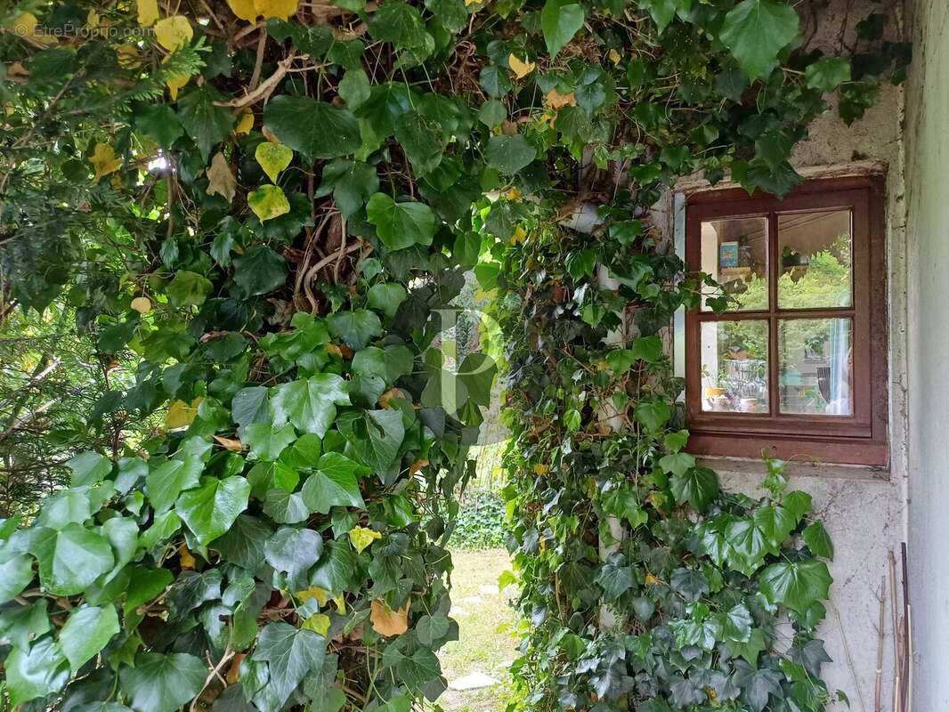 Maison à VERRIERES-LE-BUISSON