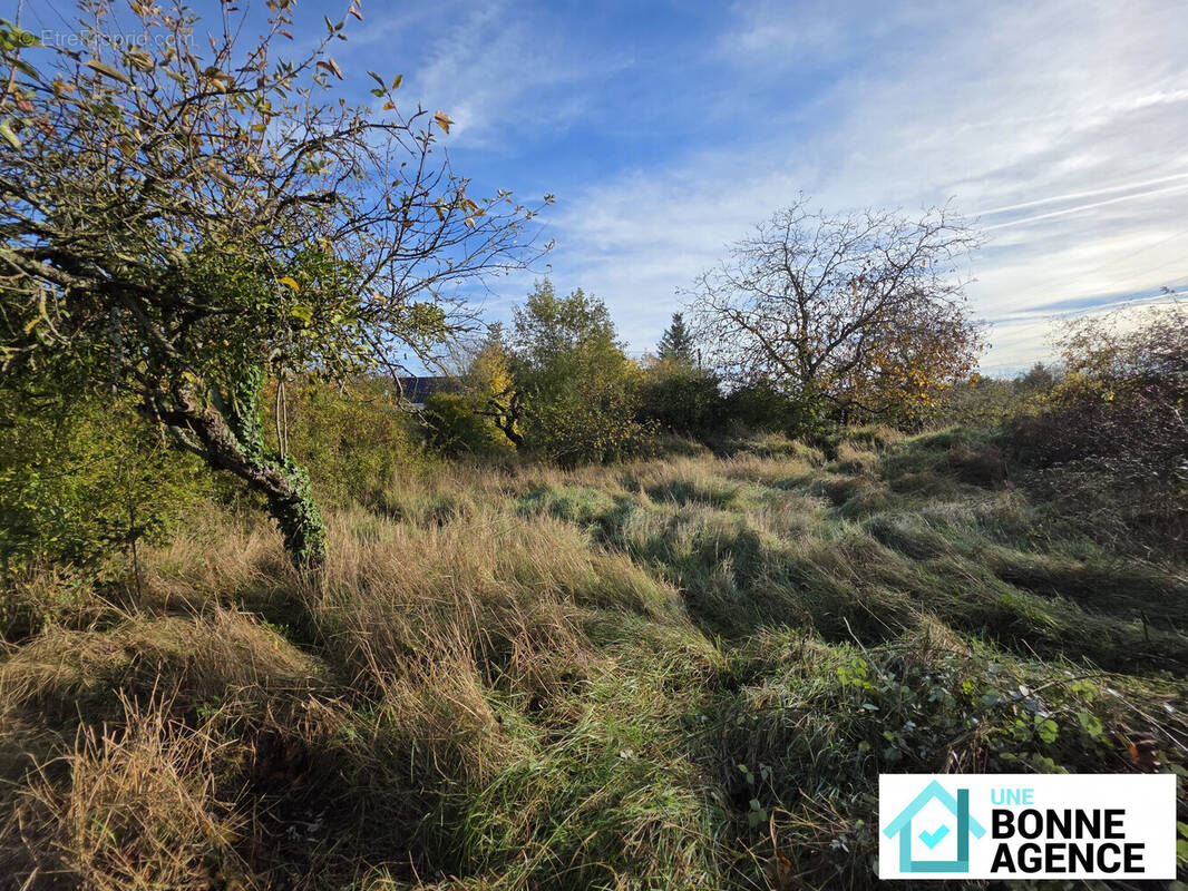 Terrain à NAZELLES-NEGRON