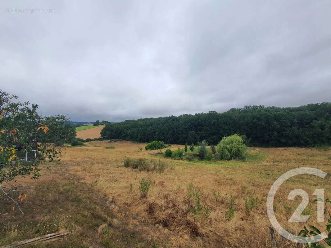 Maison 364 m² à Beauvais-Sur-Tescou  - photo 11