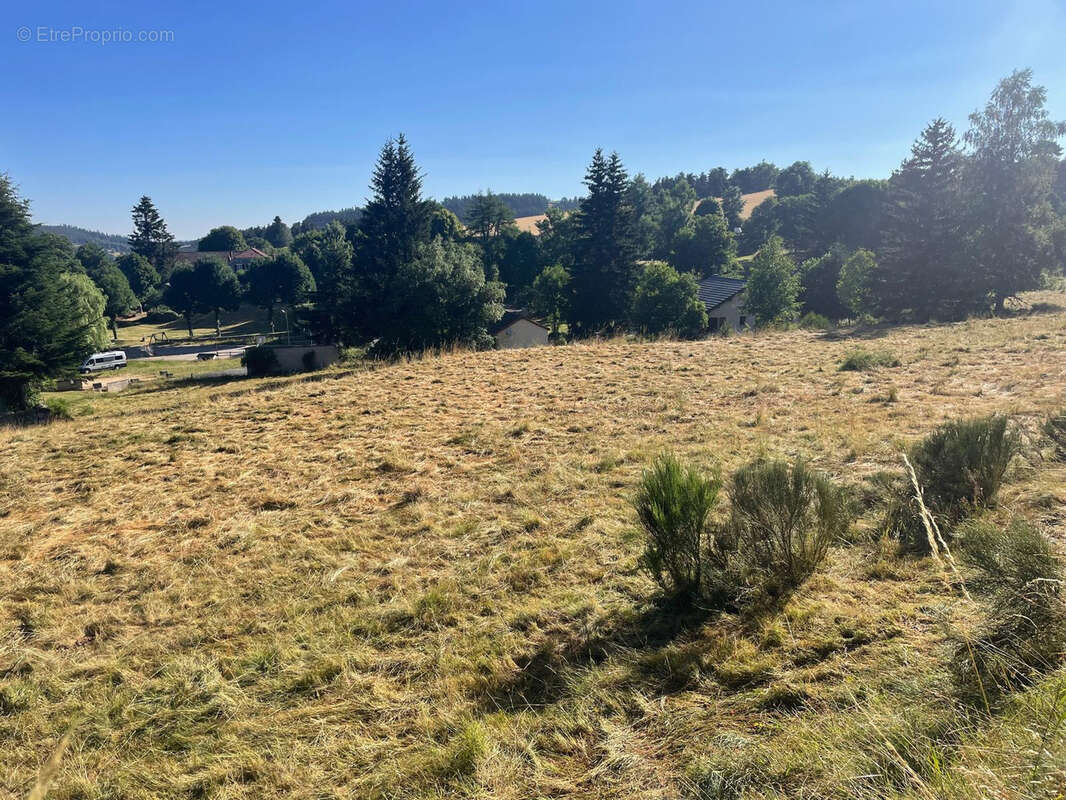 Terrain constructible de 6400 m2 avec certificat d'urbanisme - Possibilité de 4 maisons - photo 2