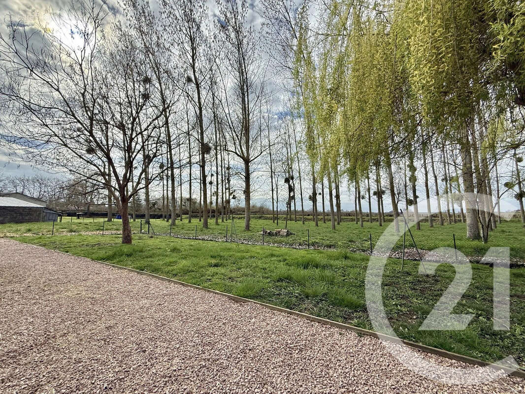 Maison à JALIGNY-SUR-BESBRE