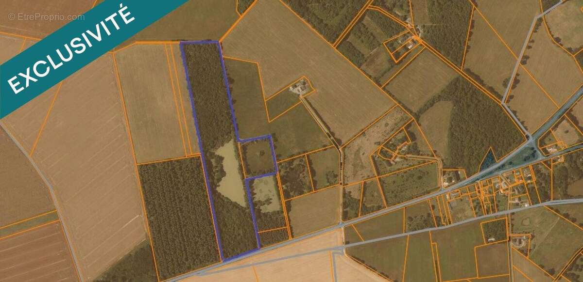 Photo 8 - Terrain à LA PEROUILLE