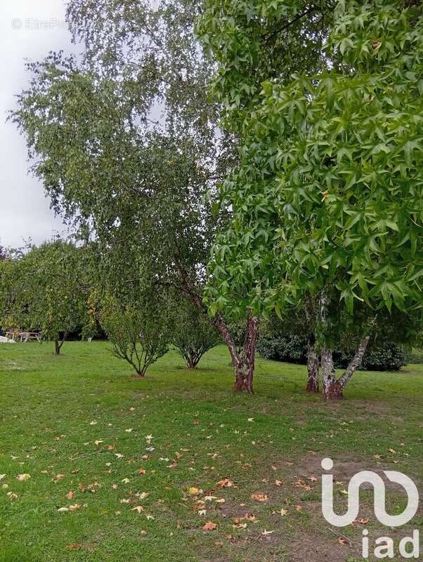 Photo 8 - Maison à CHATEAU-RENAULT