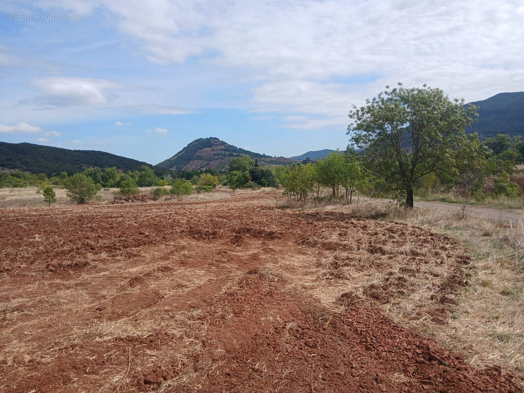 Terrain à OCTON