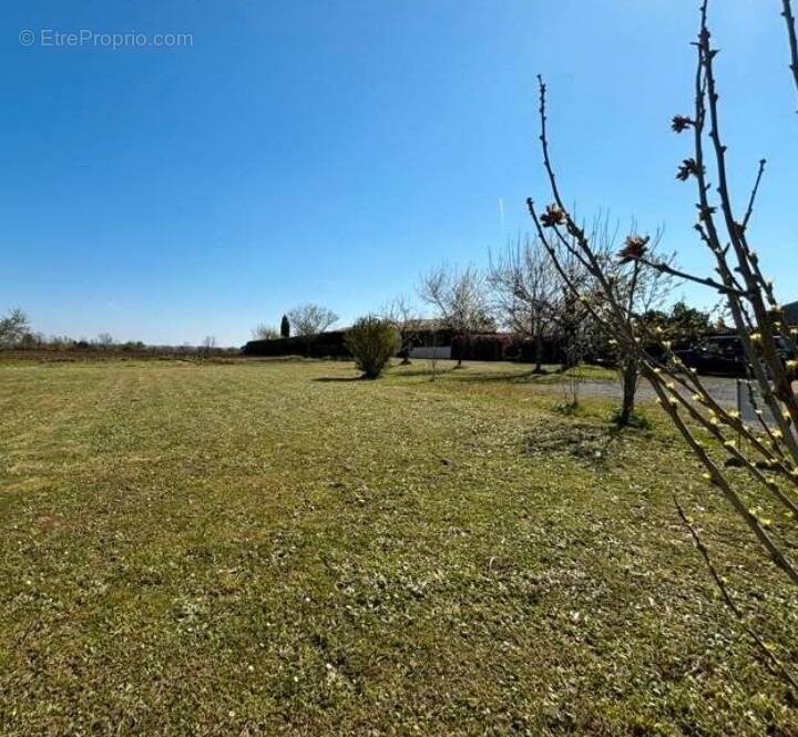 Terrain à SAINT-GEORGES-DES-COTEAUX