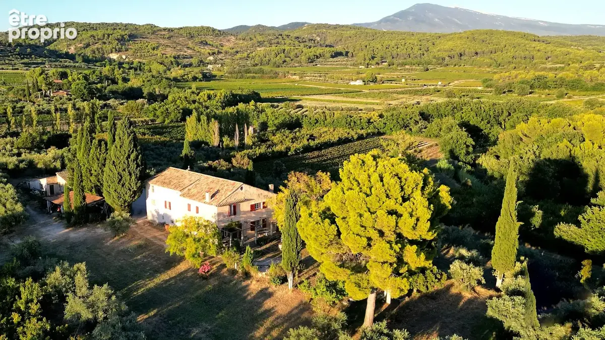 Demeure oliviers verger et vignes - photo 4