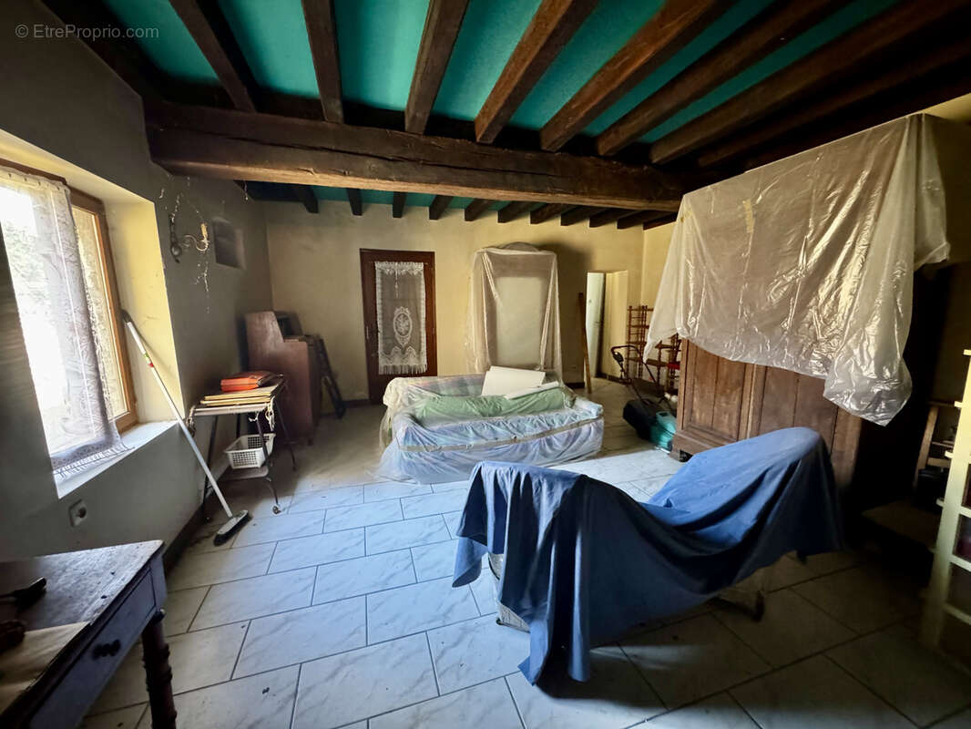 Maison à OUSSON-SUR-LOIRE