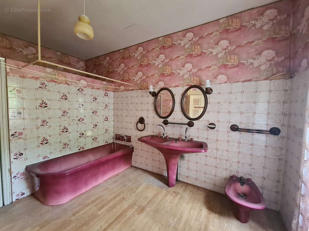 Maison à CAPOULET-ET-JUNAC